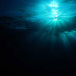 Deep_sea