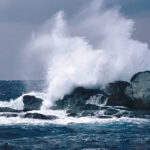 Sea spray